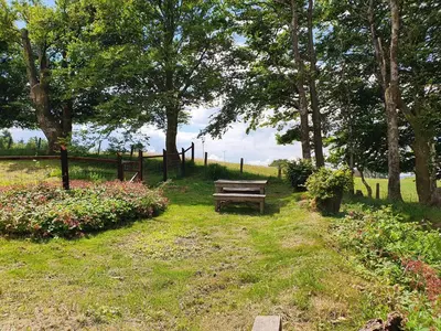 a wooden bench in a field with trees and flowers at Welshhomestead in Tregaron