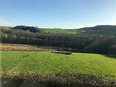 a field of green grass with trees in the background at Pengarreg Fawr in Llanilar