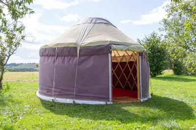 a yurt in the grass in a field at Festival Yurts Hay-on-Wye in Hay-on-Wye