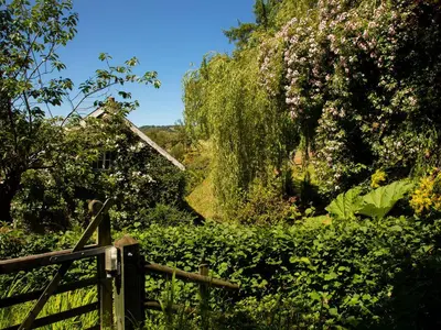 a wooden gate in a garden with flowers and trees at Dolgenau Cottages in Trefeglwys