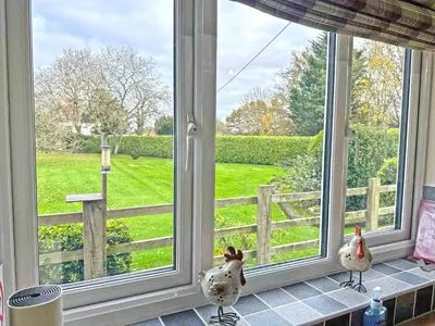 two chickens sitting on a window sill looking out at a yard at Acorn Cottage in Kingsland