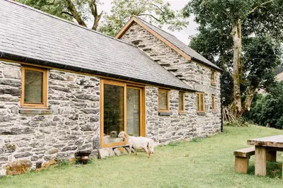 a sheep standing in front of a stone house at Glyn Mawr Barn in Bala