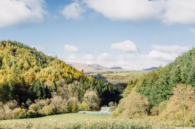 a view of a valley with trees and a field at Glyn Mawr Barn in Bala