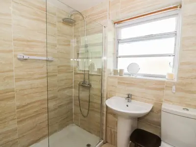 a bathroom with a shower and a sink and a toilet at Dolau Meurig in Ystrad Meurig