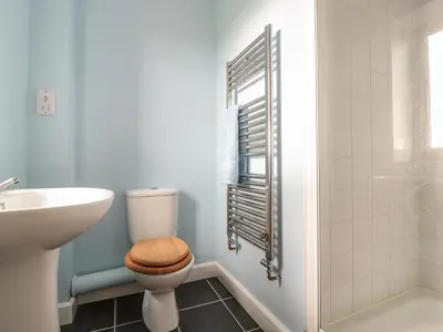 a bathroom with a toilet and a sink at Blaen Henllan in Aberedw