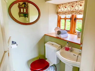 a bathroom with a toilet and a sink and a mirror at Pant Dafydd Goch in Glyn-Ceiriog