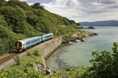 a train on the tracks next to a river at 5 Bed in Machynlleth oc-bow30 in Darowen