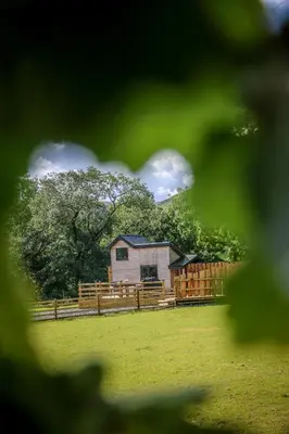 a house in a field with a fence at Nant Cafn - Hafan Hideaways Eryri in Machynlleth