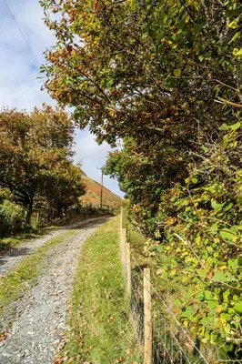 a fence next to a dirt road with trees at Nant Cafn - Hafan Hideaways Eryri in Machynlleth