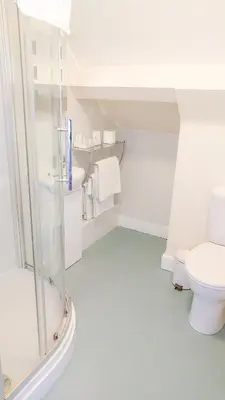 a bathroom with a shower and a toilet at Seven Stars in Hay-on-Wye