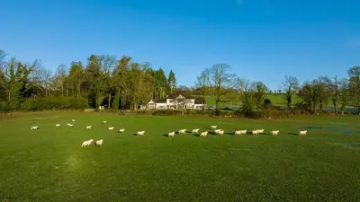 a herd of sheep grazing in a field with a house at Plas Y Dderwen Apartments in Aberystwyth