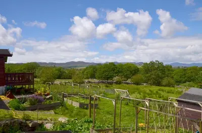 a garden with many plants in a field at 3 Bed in Dolgellau oc-wah569 in Llanfachreth
