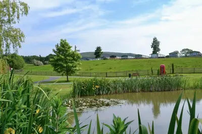 a pond with a field and a red phone booth at 1 Bed in Llandinam oc-waa376 in Llandinam