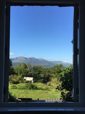 a cow walking in a field through a window at 3 Bed in Dolgellau oc-wah484 in Llanfachreth