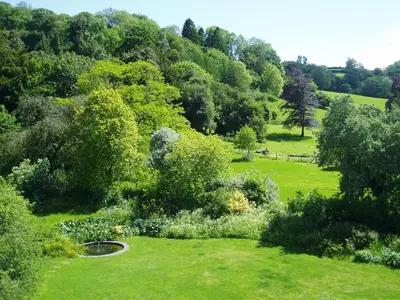 an aerial view of a park with trees and grass at The Forest Country House B&B in Newtown