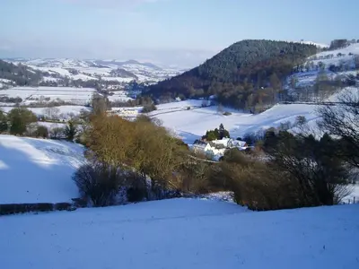 a snow covered field with trees and mountains in the distance at The Forest Country House B&B in Newtown