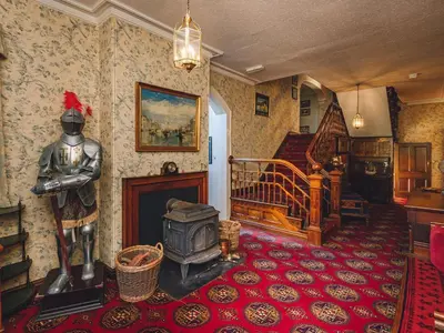 a living room with a stove in a room at The Forest Country House B&B in Newtown