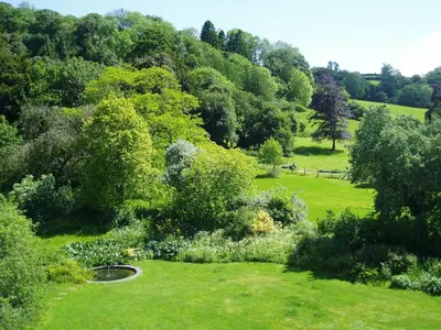 an aerial view of a park with green grass and trees at The Forest Country House B&B in Newtown