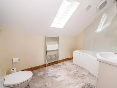 a bathroom with a toilet and a sink at Pentre Fawr in Llanddewi Ystradenny