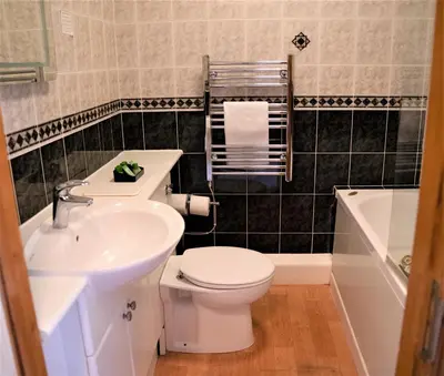 a bathroom with a toilet and a sink at Llety Ceiro Guesthouse in Aberystwyth