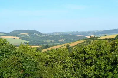 a view of the rolling hills and trees at Little Drift in Edgton