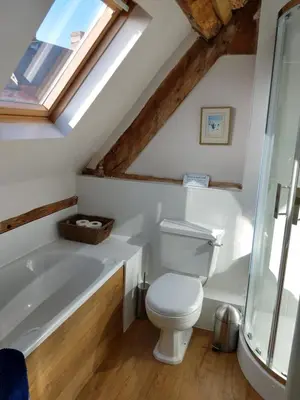a bathroom with a toilet and a bath tub at Little Drift in Edgton