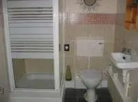 a small bathroom with a toilet and a sink at The Horseshoe Guesthouse in Rhayader