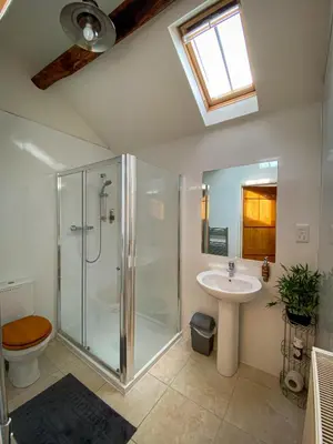 a bathroom with a shower and a toilet and a sink at Smithy Cottage in Berriew