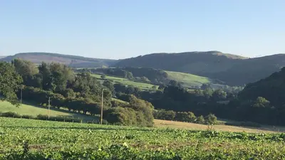 a green field with trees and mountains in the background at Pen y Crug Cottage in Llanafan-fawr