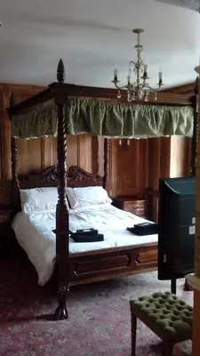 a bedroom with a canopy bed and a television at Neuadd Arms Hotel in Llanwrtyd Wells
