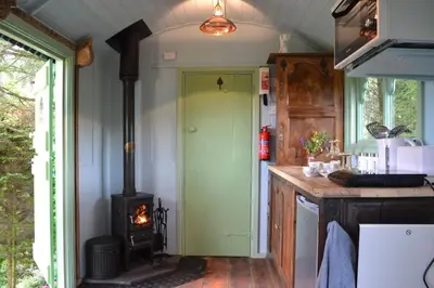 a kitchen with a green door and a stove at Llethrau Forest & Nature Retreats in Knighton