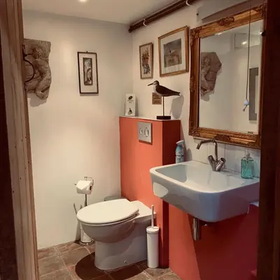 a bathroom with a white toilet and a sink at Llethrau Forest & Nature Retreats in Knighton