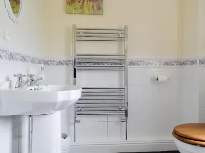 a bathroom with a sink and a toilet at Green Lane Cottage in Newtown