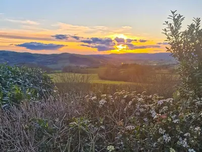 a sunset over a field with flowers in the foreground at Green Lane Cottage in Newtown