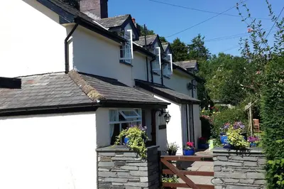 a white house with flowers in the window at Canol y Llan in Machynlleth
