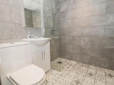 a bathroom with a toilet and a sink and a shower at Rhianwen, Plas Moelfre Hall Barns in Llangadwaladr