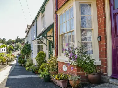 a row of potted plants on the side of a building at Garden Cottage in Ludlow
