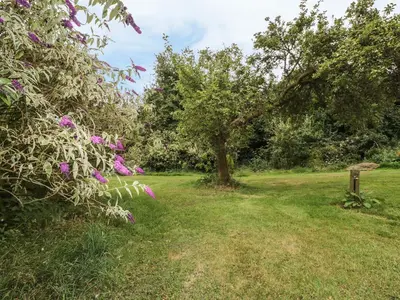 a garden with a tree and flowers in the grass at The Cow Cott in Peterchurch