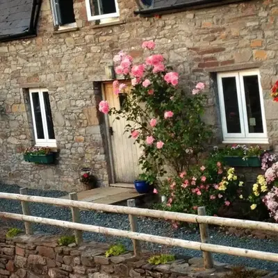 Llwyn Llwyd Cottage