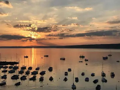 a group of boats in the water at sunset at Awelfryn in New Quay