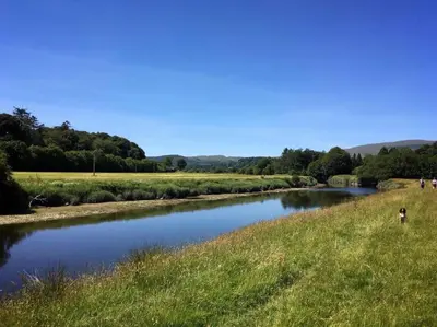 a dog standing next to a river at Little Kestrel Cabin in Pennal