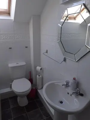a bathroom with a toilet and a sink and a mirror at The Carthouse in Aberystwyth