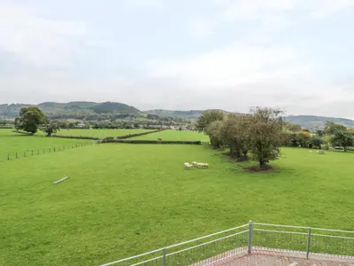 a large green field with two horses in it at Pentrego Isaf in Meifod