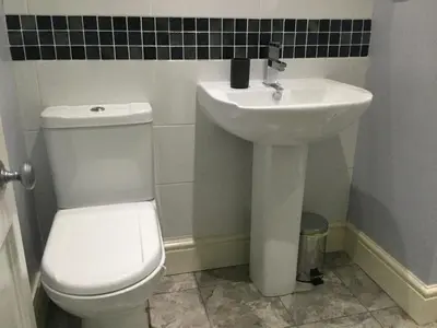a bathroom with a white toilet and a sink at Maes y Gwaelod in Llanwrtyd Wells