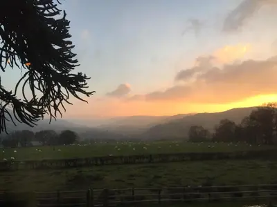a sunset over a field with sheep in a field at The Royston in Llanbrynmair
