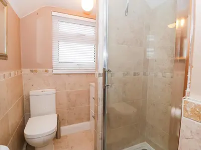 a bathroom with a shower and a toilet at Edrydd in Harlech