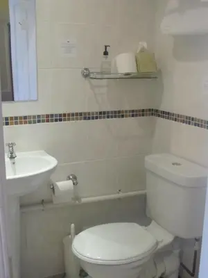 a bathroom with a toilet and a sink at Highland Moors in Llandrindod Wells