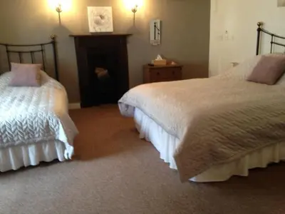 a bedroom with two beds and a fireplace at The Poppy House in Bishops Castle