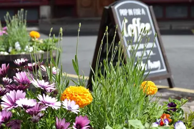 a bunch of flowers in front of a sign at Royal Ship in Dolgellau