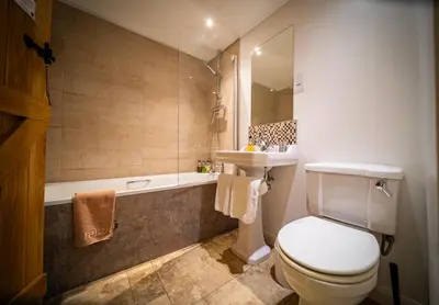 a bathroom with a toilet and a sink and a tub at Ty Newydd B&B in Brecon